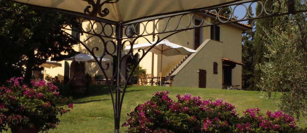Agriturismo San Francesco Amalia&Anna Orciatico Exterior foto